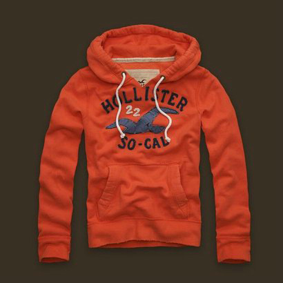 Sweat & Hoody Hollister Homme Pas Cher